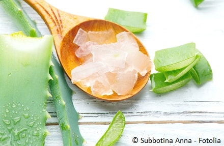 Aloe Vera für die Haut: Die Superpflanze nutzen